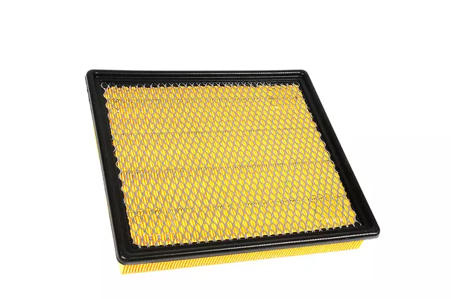 Acdelco™ Air Filter - GM (A3176C)