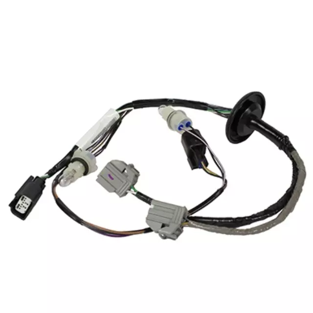 Socket And Wire Assembly Lamp - Ford (ds7z13412b)