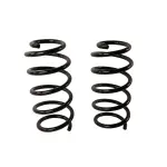 81767 - : Front Coil Spring Set for Moog Image