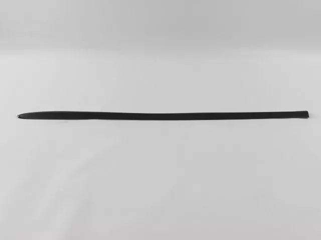 55077171AC - Body: Side Molding for Dodge: Ram 1500, Ram 2500, Ram 3500 Image