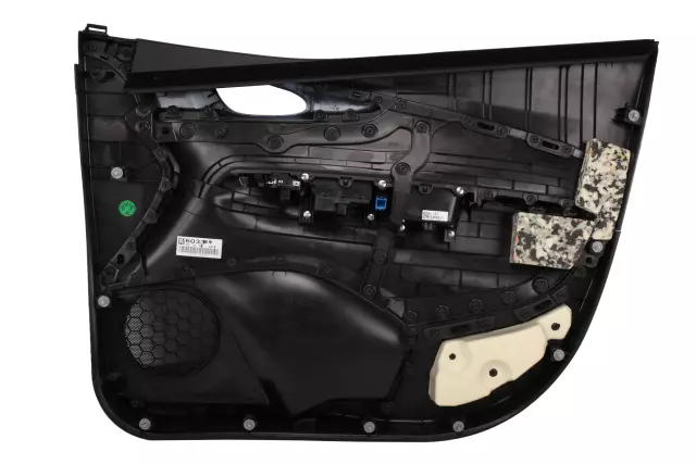 42496033 - Body: Door Trim Panel for GM Image