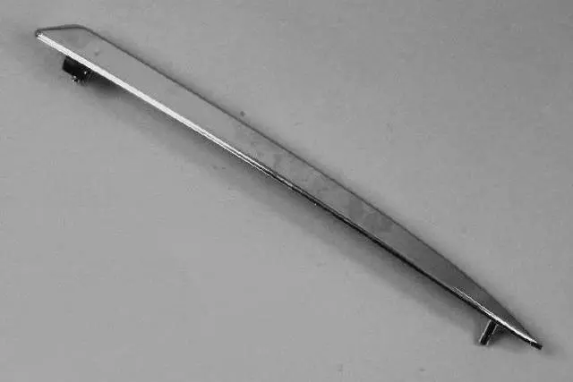 Fascia Molding, Right - Mopar (1SR90SZ6AA)