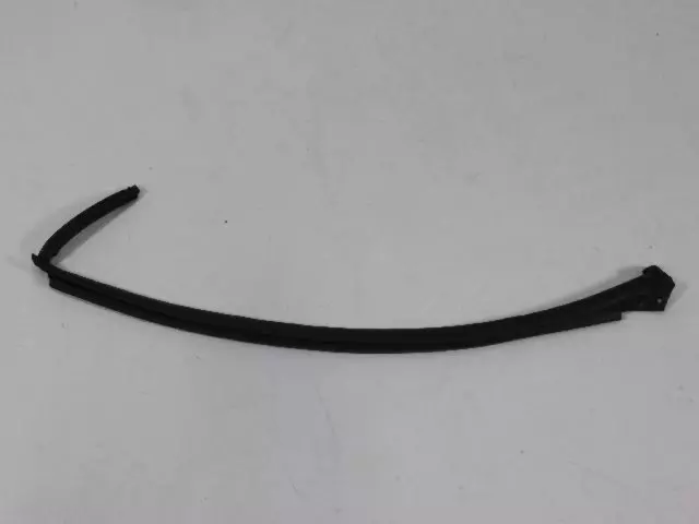 Door Glass Weatherstrip, Right - Mopar (5174506AA)