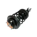 882585 - : Loaded Strut Assy for GSP Image