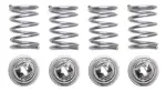 H1160 - : Raybestos R-Line Hold Down Spring for Raybestos Brakes Image