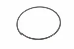 24282337 - : F (S)Ring for GM Image