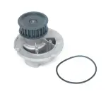 US8933 - : Engine Water Pump for US Motor Works Image