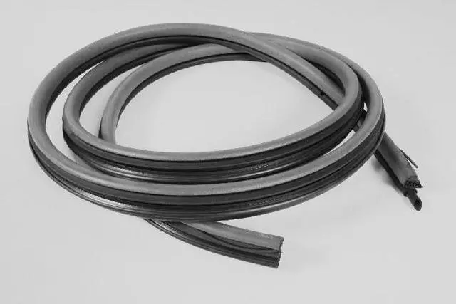 TM63XXXAB - Body: Body Weather-strip for Mopar Image