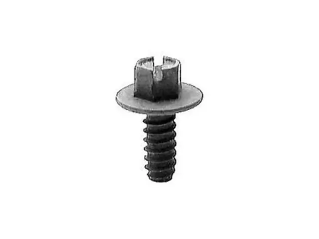 License Plate Bracket Hardware Kit - Ford (N804376-S307)