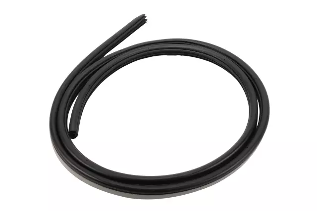 Anthracite Black Side Door Weatherstrip - GM (96467379)