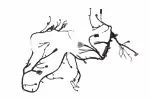 85659201 - : F Harness for GM Image