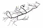 85096434 - : Harness for GM Image