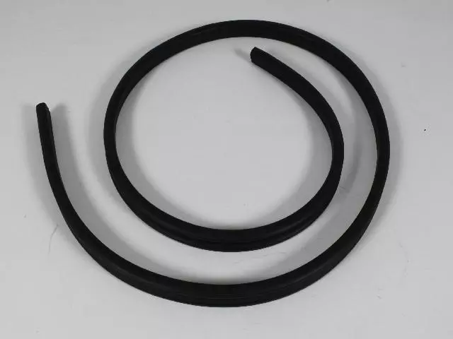 Lift-Gate Glass Weatherstrip - Mopar (55369015AK)