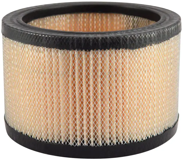 PA652 - : Air Element for Baldwin Image