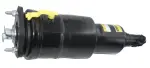 AS7398 - : Westar Air Suspension Strut for WESTAR Image