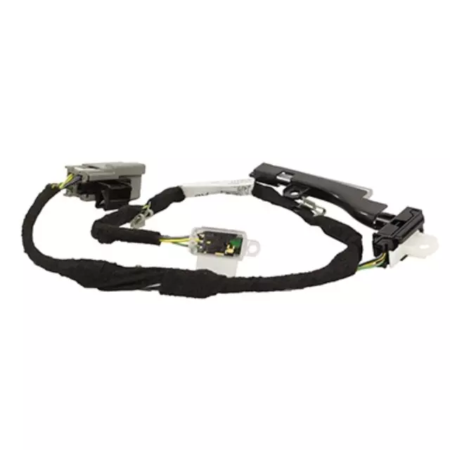 Socket And Wire Assembly Lamp - Ford (JL3Z-14A318-AL)