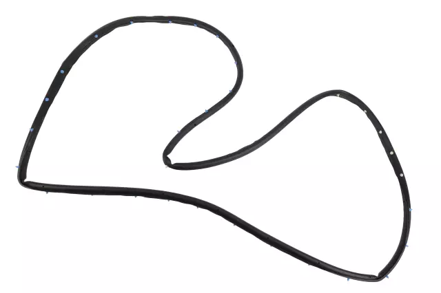 Door Weather-Strip - GM (84228141)