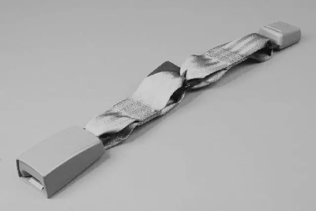 Rear Inner Seat Belt, Right - Mopar (ZW111KAAC)