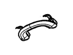 6W7Z5431406AB - Body: Interior Grab Bar for Ford: Crown Victoria | Mercury: Grand Marquis Image
