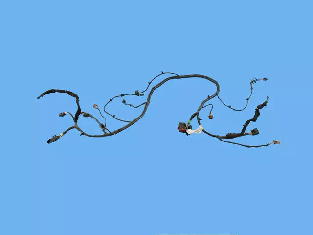 Front End Module Wiring, US, Canada, Mexico - Mopar (68289120AC)