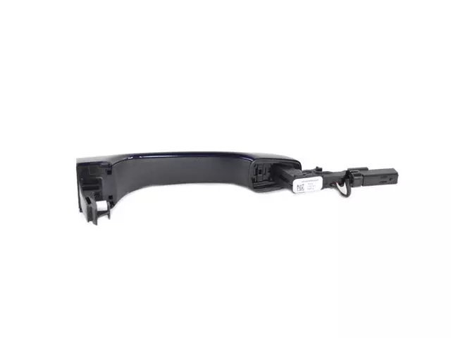 1RH64KBXAH - Doors, Door Mirrors and Related Parts: Exterior Door Handle for Chrysler: 300 | Dodge: Journey Image