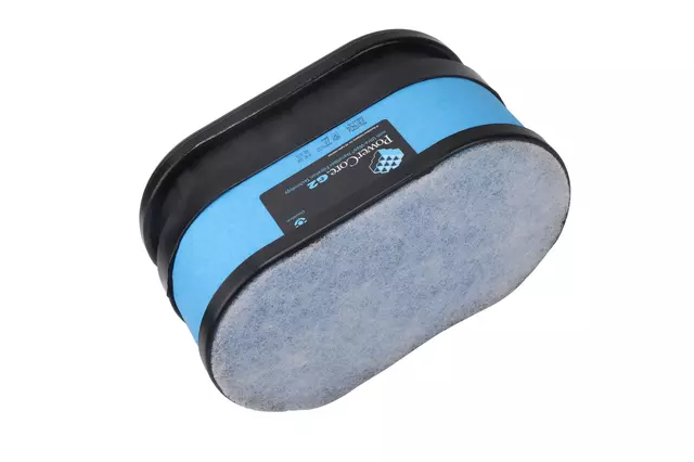 Part# 20815924 Air Filter - GM (20815924)