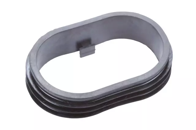 Air Cleaner Resonator Seal - GM (95370176)