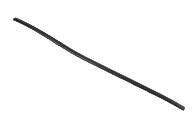 15758049 - Body: Lower Weather-strip for GM Image