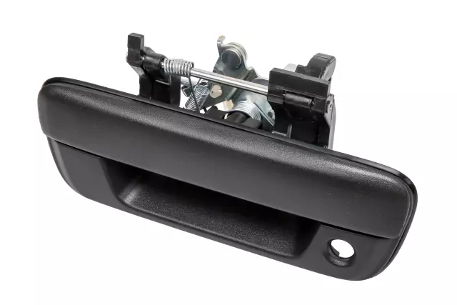 HANDLE (W/LOCK CYLINDER HOLE) - GM (25801998)