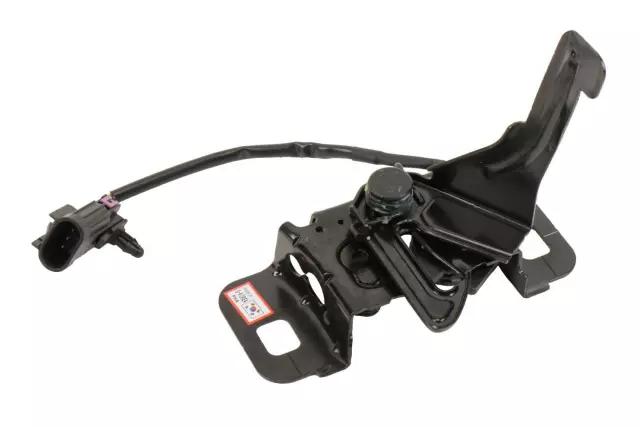Hood Latch Assembly - GM (20941350)