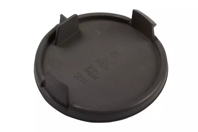 22796449 - Body: Access Cover for GM Image