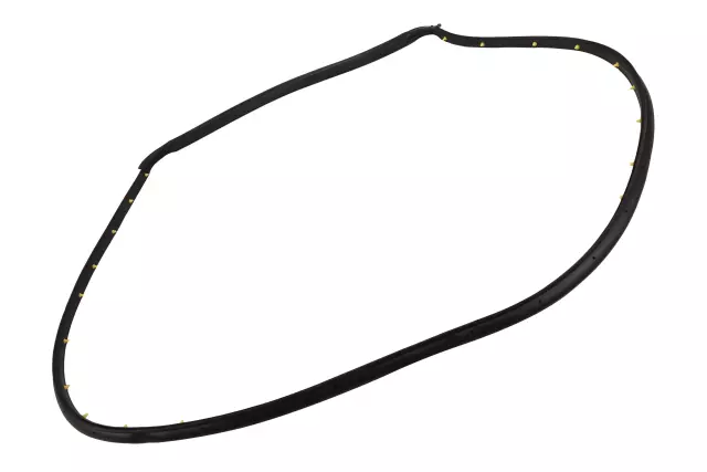Rear Passenger Side Door Weatherstrip - GM (42541955)