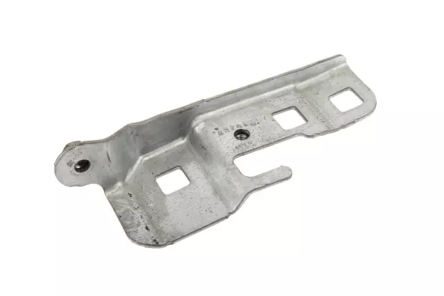 22701367 - Body: Hinge for Pontiac: G6 Image