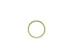 68332868AB - Transmission: Synchronizer Ring for Mopar Image