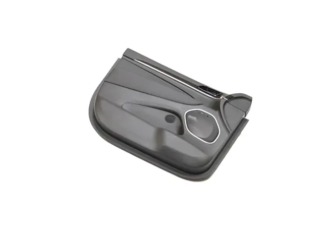 Panel Assembly - Mopar (6AA055X9AG)