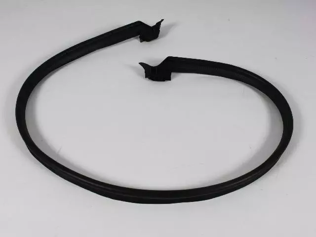 55395244AG - Body Sheet Metal Except Doors: Liftgate Glass Weatherstrip for Jeep: Wrangler Image