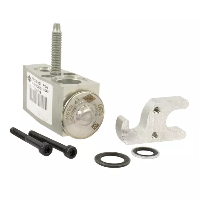 Valve Assembly Evaporator Expansion - Ford (f1fz19849c)