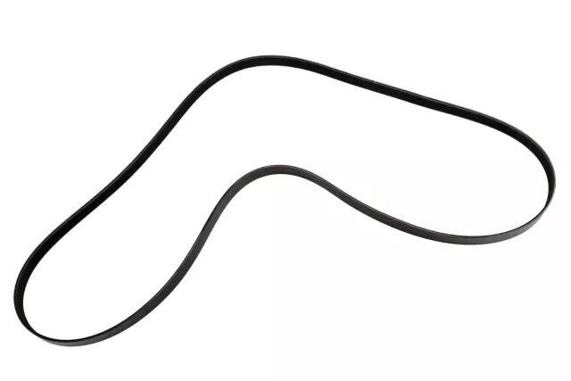 12575425 - : V-Ribbed Serpentine Belt for GM Image