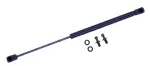 612641 - : Trunk Lid Lift Support for Tuff Support Image