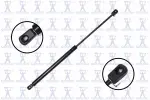 84405 - : Back Glass Lift Support for Focus Auto Parts Image