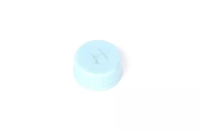 19317482 - : Air Conditioning Service Valve Fitting Cap for GM Image