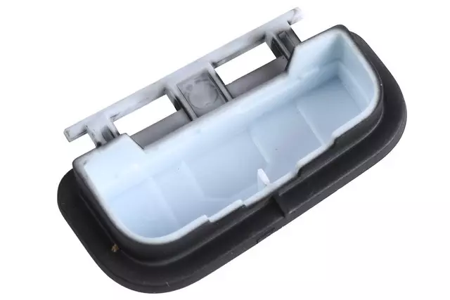 Jet Black Driver Side Interior Lamp Switch - GM (22947022)