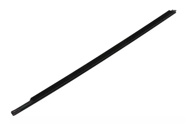 Driver Side Front Door Window Belt Reveal Molding - GM (23114913)