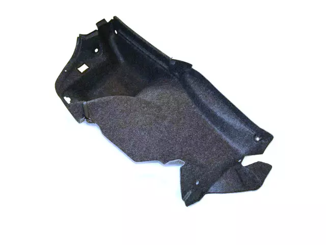 55315124AM - Body: Side Trim for Chrysler: 300 Image