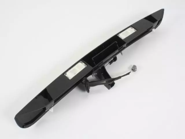 5113178AD - Body: Handle, Outside for Dodge: Grand Caravan Image