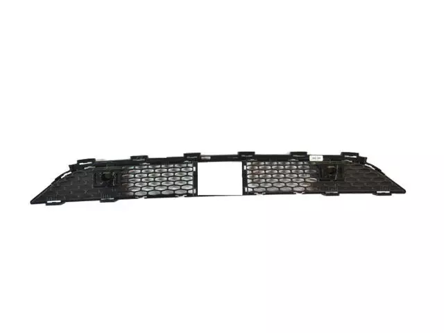 68227271AC - Exterior Ornamentation: Lower Grille for Mopar Image
