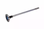 55488988 - : Engine Exhaust Valve for ACDelco Image