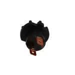 610179 - : Headlight Socket for ROSTRA Image