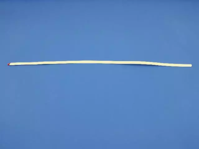 Front Door Molding - Mopar (1DH75SW1AB)