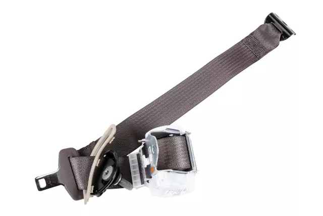 19303064 - Electrical: Outer Belt Assembly for Cadillac: Escalade ESV | Chevrolet: Suburban, Suburban 3500 HD | GMC: Yukon XL Image